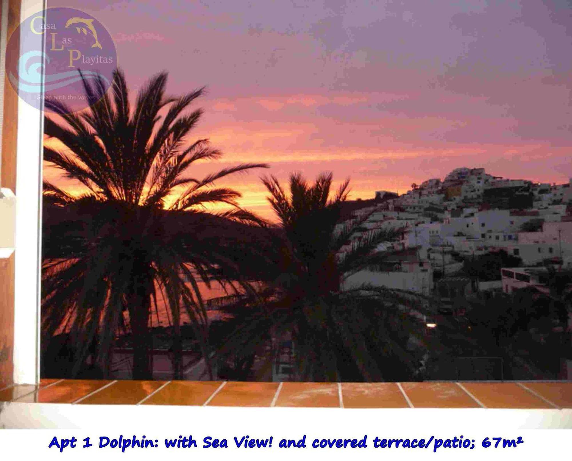 Casa Las Playitas -Clp- Best Sea View - In 1 Minute Ocean Las Playas Dış mekan fotoğraf