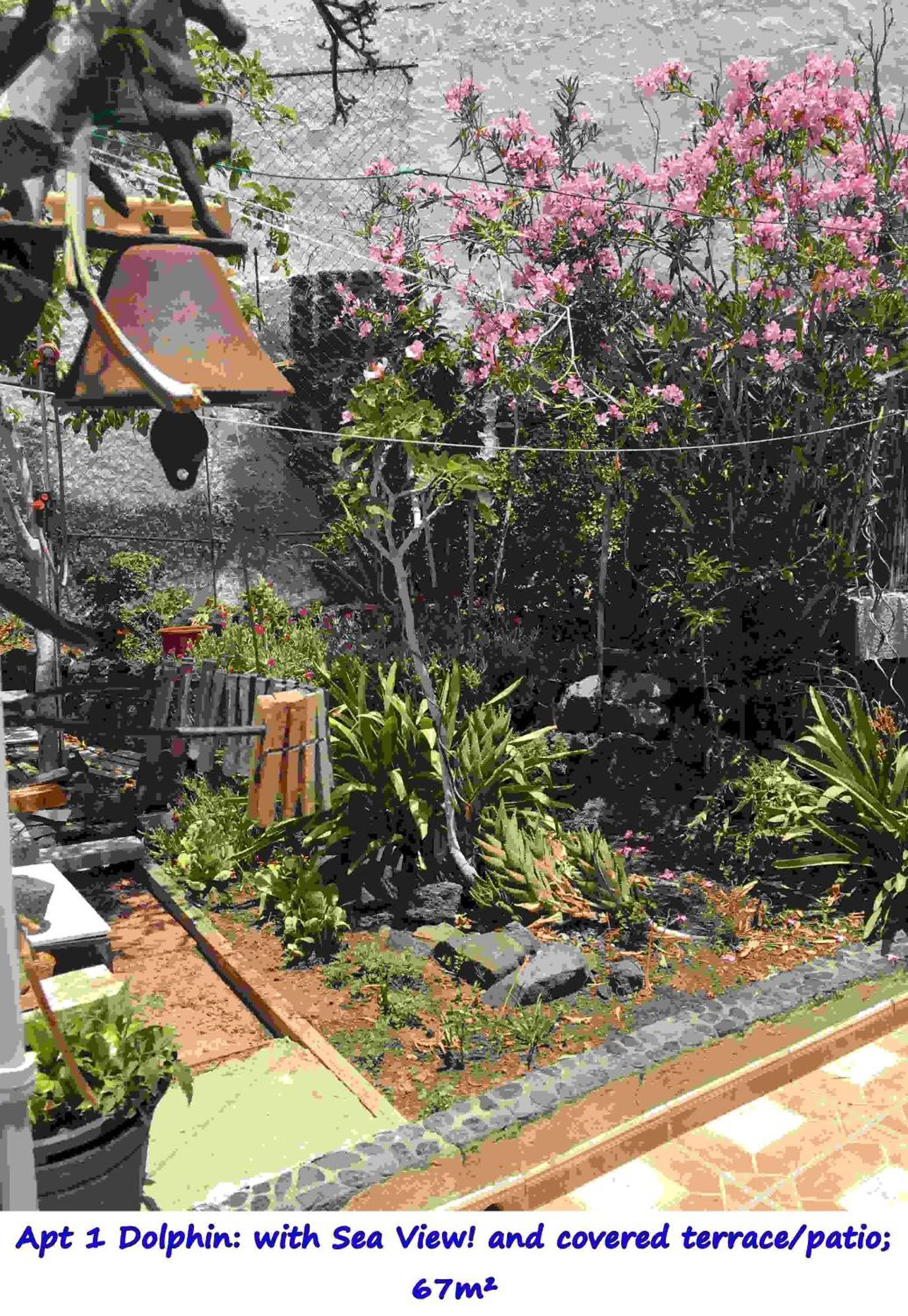 Casa Las Playitas -Clp- Best Sea View - In 1 Minute Ocean Las Playas Dış mekan fotoğraf