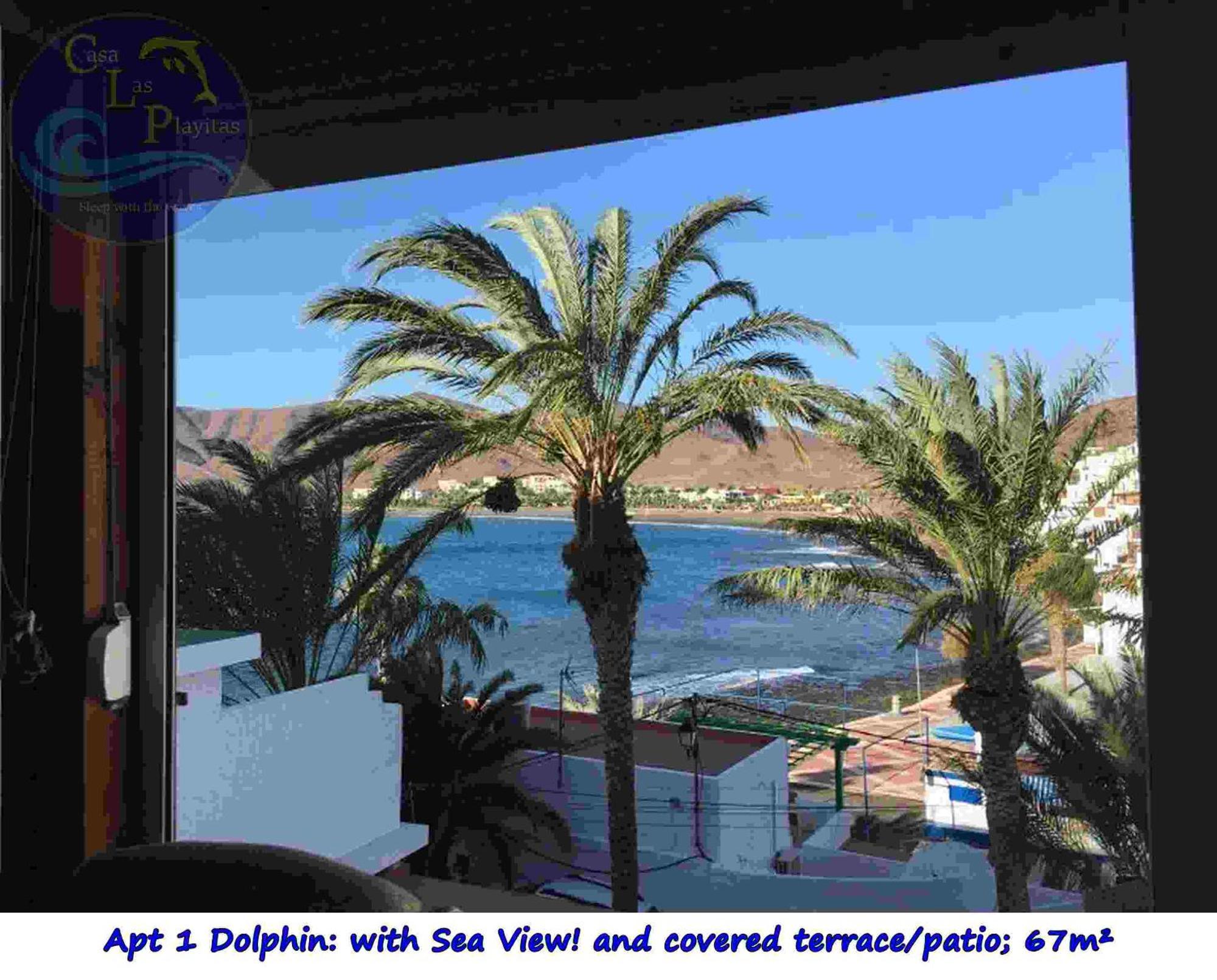 Casa Las Playitas -Clp- Best Sea View - In 1 Minute Ocean Las Playas Dış mekan fotoğraf